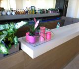 VILLA KARLA reštaurácia Topoľčany denné menu